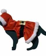 Kerstman outfitje feest outfit kat poes
